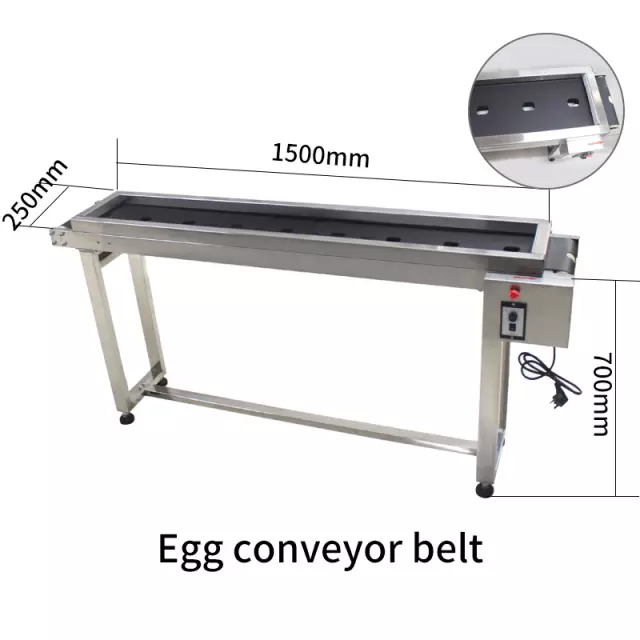 Conveyor Belt According To The Drawing